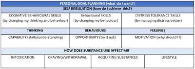 Adapting the ADVANCE group program for digitally-supported delivery to reduce intimate partner violence by men in substance use treatment: a feasibility study